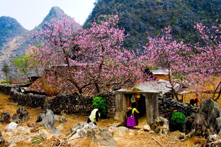 HA GIANG - DONG VAN KARST PLATEAU - DU GIA 3 DAYS 4 NIGHTS