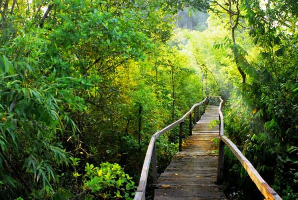 Ho Chi Minh  - Nam Cat Tien National Park Tour – 2 Days