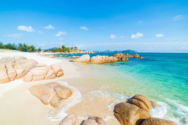 Nha Trang: Hon Mieu and Hon Tam Island Tour with Lunch