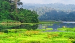 Ho Chi Minh  - Nam Cat Tien National Park Tour – 2 Days