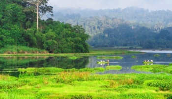 Ho Chi Minh  - Nam Cat Tien National Park Tour – 2 Days